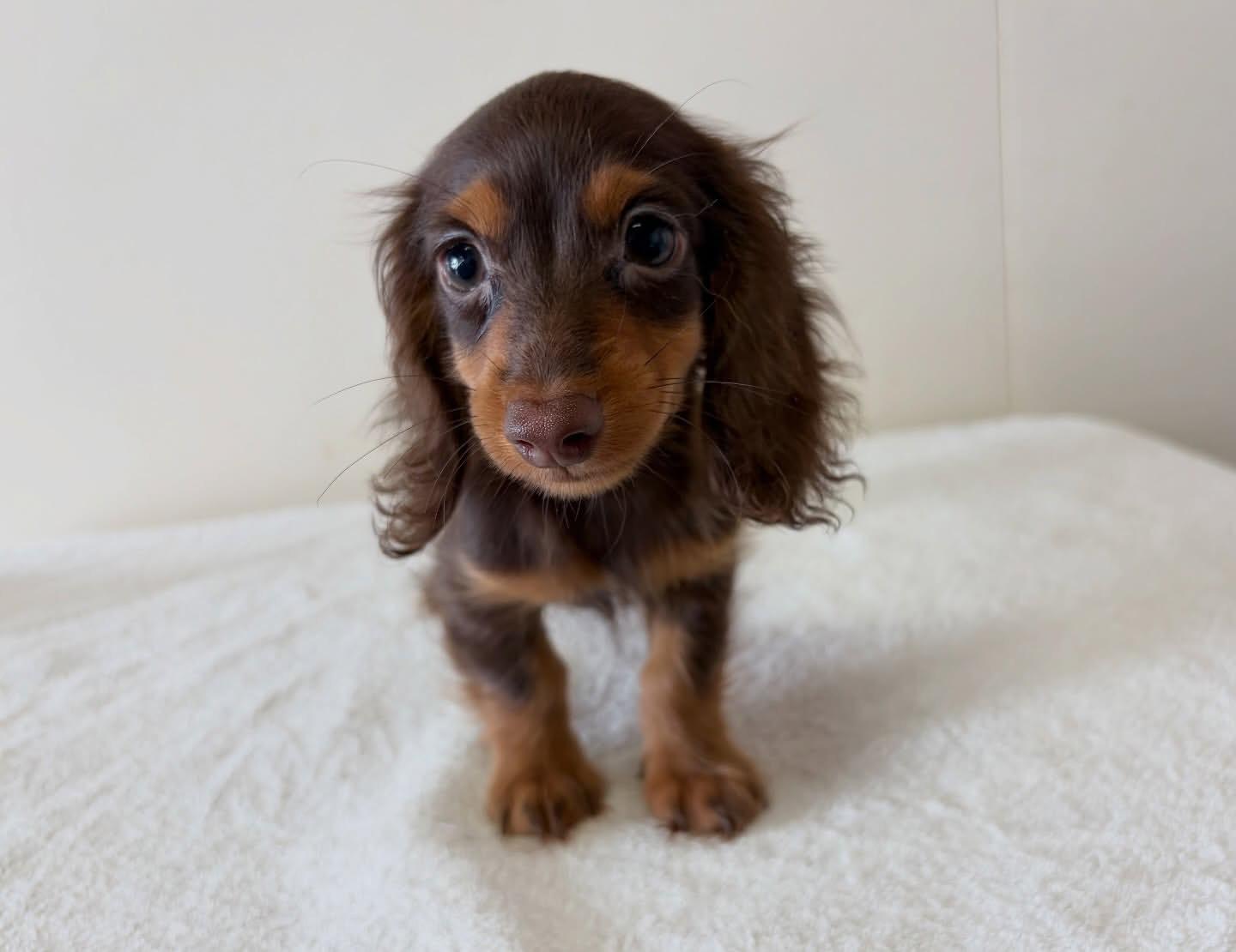 Charlie